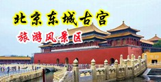 被操的好爽流水了的视频中国北京-东城古宫旅游风景区